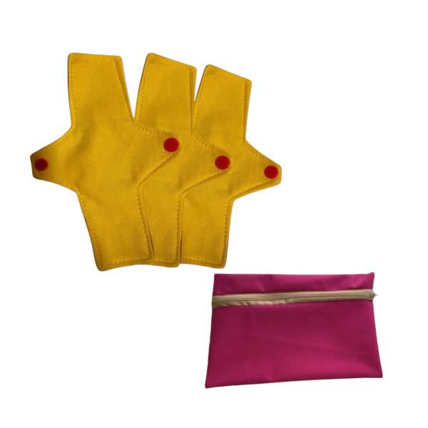 Pack 3 Protectores Mini+ Estuche Mini